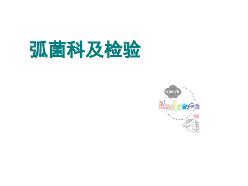 (完整PPT)弧菌