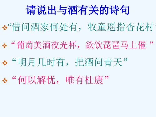 乙醇的分子组成和结构探究课件
