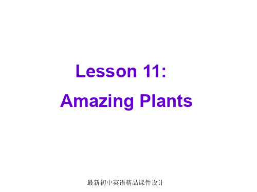 最新冀教版初中英语八年级下册《Lesson 11 Amazing Plants》精品PPT课件 (1)