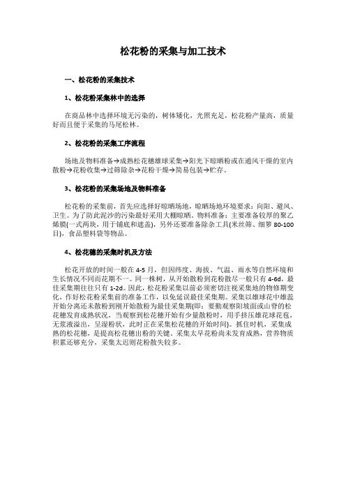 松花粉的采集与加工技术