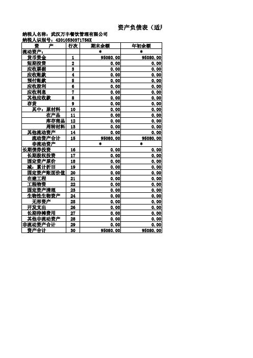 资产负债表(适用执行小企业会计准则的企业)(2016-07-01-2016-07-31)