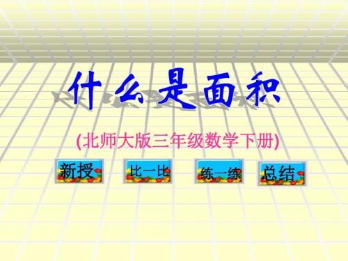 北师大版三下《什么是面积》(面积大小)PPT