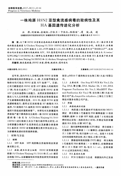 一株鸡源H9N2亚型禽流感病毒的致病性及其HA基因遗传进化分析