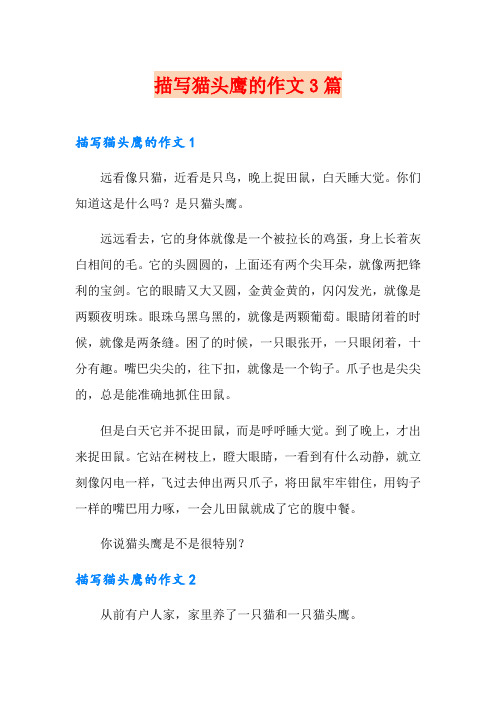 描写猫头鹰的作文3篇