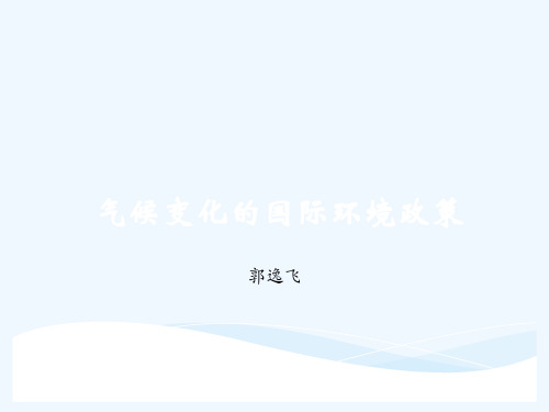 气候变化的国际环境政策.ppt