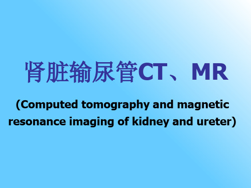 肾脏输尿管CT、MR-精品文档