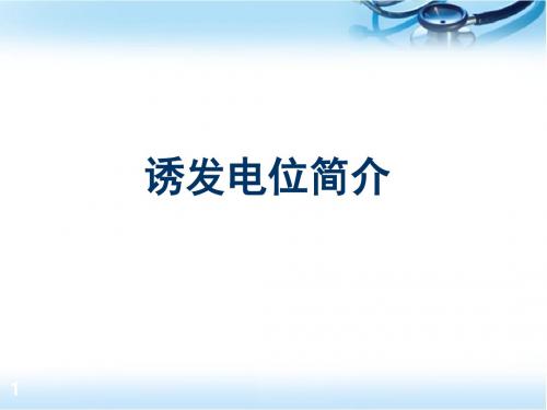 诱发电位简介PPT医学课件