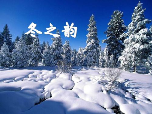 《冬之韵》PPT课件 (共17张PPT)