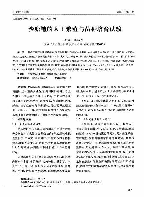 沙塘鳢的人工繁殖与苗种培育试验