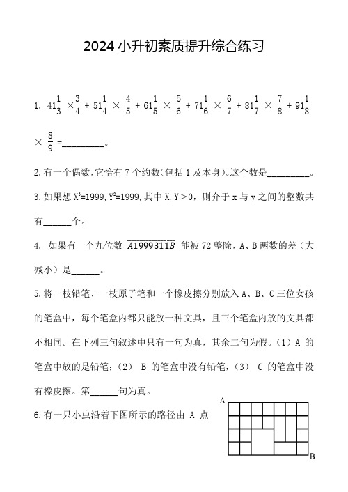 2024小升初素质提升综合练习
