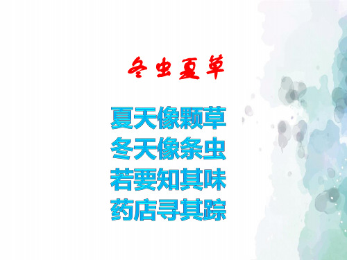 北京课改版生物-七年级上册-4.4 其他生物的营养 (2)