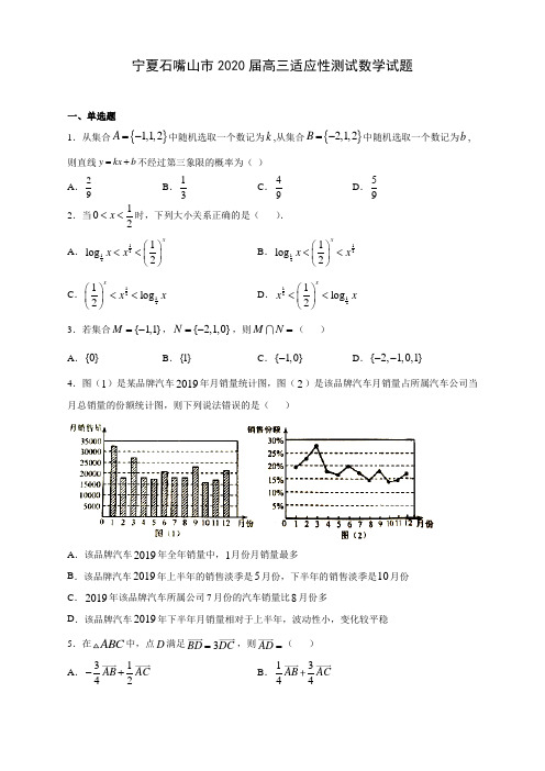 宁夏石嘴山市2020届高三适应性测试数学试题(含解析)