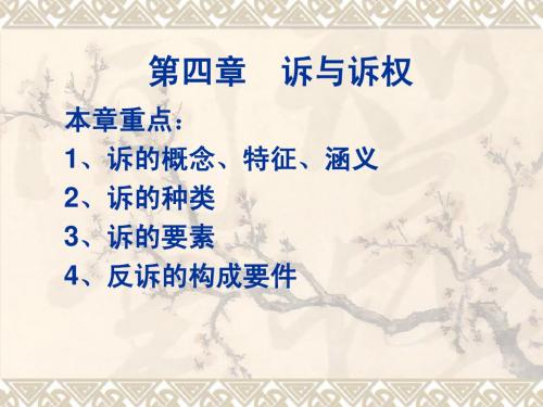 第04章 诉与诉权
