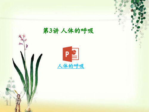 【一线精品】  中考生物复习：人体的呼吸(2份)   最新优秀公开PPT课件