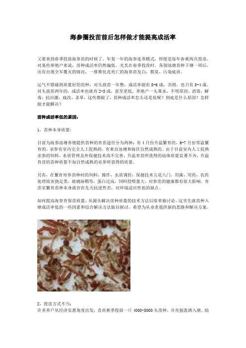 海参圈投苗前后怎样做才能提高成活率