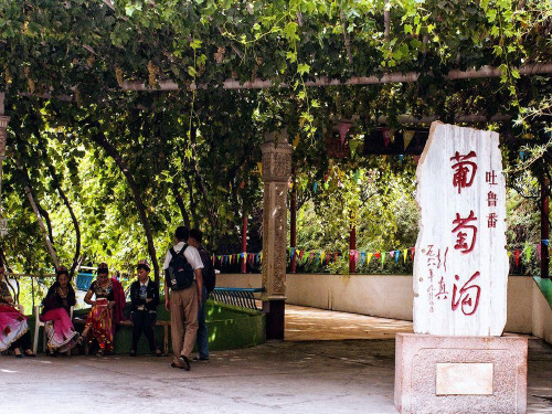 葡萄沟