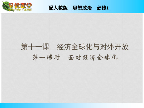 高中政治 第11课 第1课时 面对经济全球化课件 新人教版必修1
