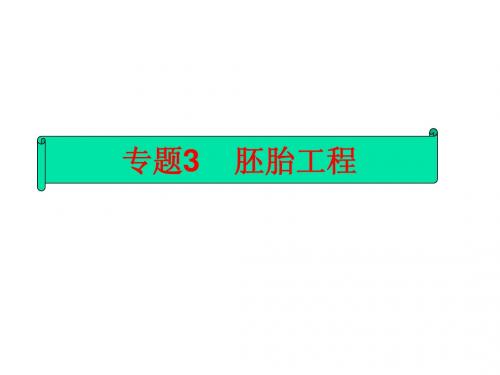 胚胎工程一轮复习全