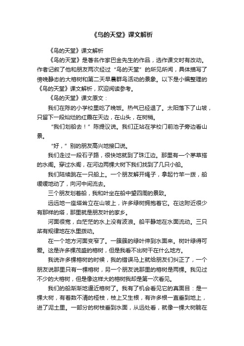 《鸟的天堂》课文解析