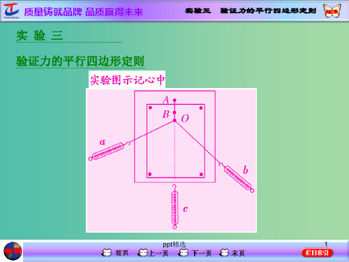 高考物理第一轮复习 第二章 相互作用 实验三 验证力的平行四边形定则课件 