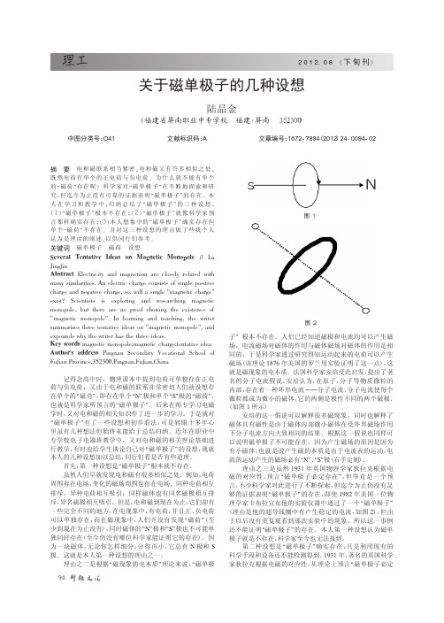 关于磁单极子的几种设想