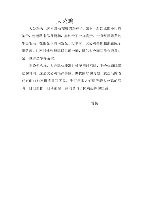 大公鸡(小学生作文)