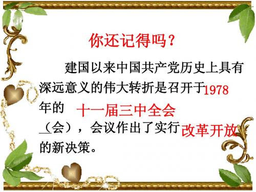 第8课《城乡改革不断深入》课件(华东师大版八年级下)