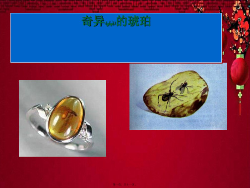 五年级语文下册 奇异的琥珀 6课件 语文a