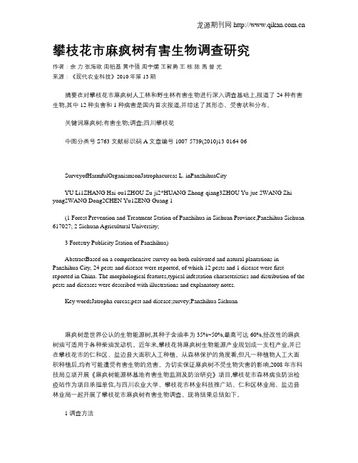 攀枝花市麻疯树有害生物调查研究