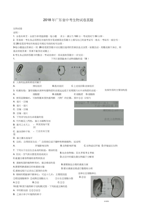 广东省2018中考生物试题(word版含答案)