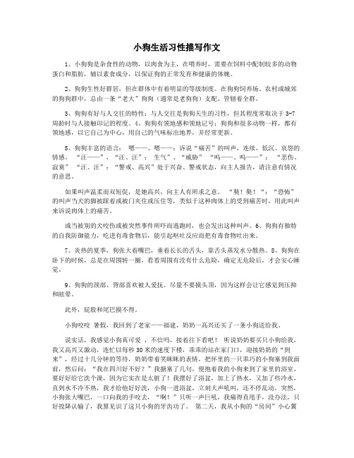 小狗生活习性描写作文