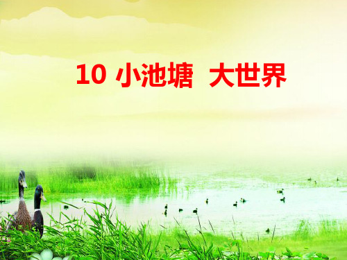 10.《小池塘-大世界》课件