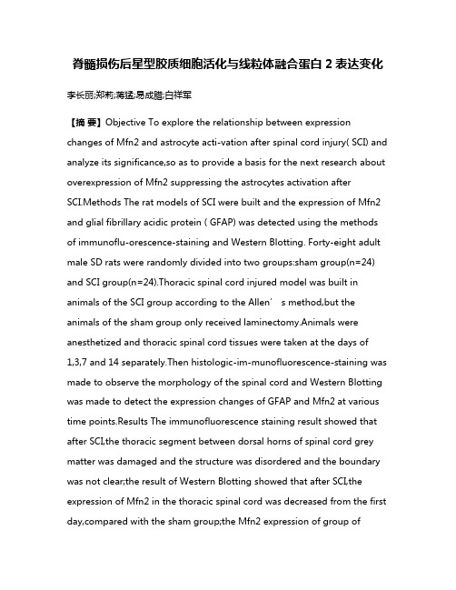 脊髓损伤后星型胶质细胞活化与线粒体融合蛋白2表达变化