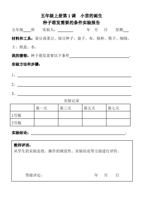 五年级上册实验报告单5个