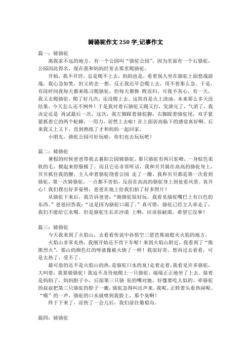 骑骆驼作文250字_记事作文