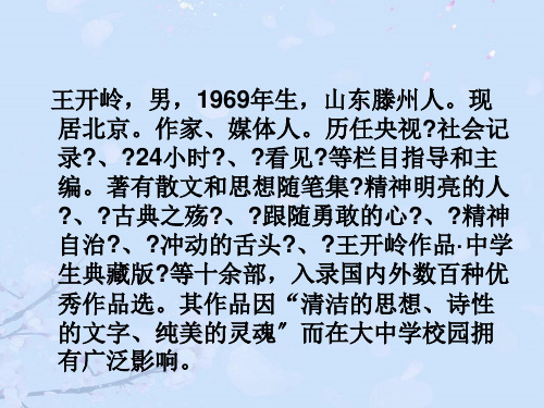 精神明亮的人正式版PPT文档