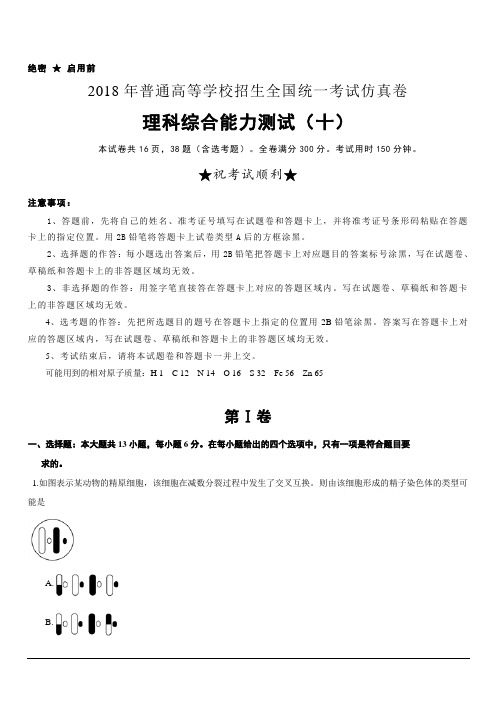 普通高等学校2018届高三招生全国统一考试仿真卷(十)理综试题含答案