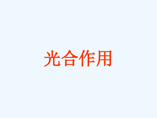 高三生物复习 光合作用.ppt