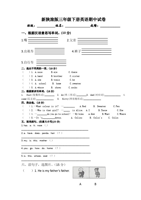 新陕旅版三年级下册英语期中试卷