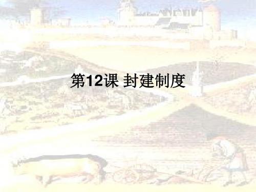 华东师大版  封建制度优秀ppt课件 (1)