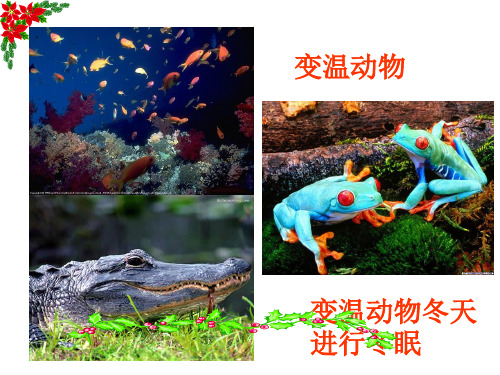 生物：2.1.2《人体的稳态》课件(苏教版必修3)26页PPT