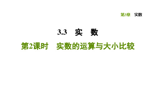 3.3.2 实数的运算与大小比较-2020秋湘教版八年级数学上册习题课件(共24张PPT)