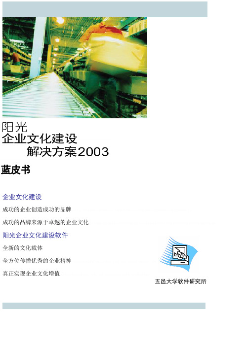 【企业文化】阳光企业文化建设方案蓝皮书(15)