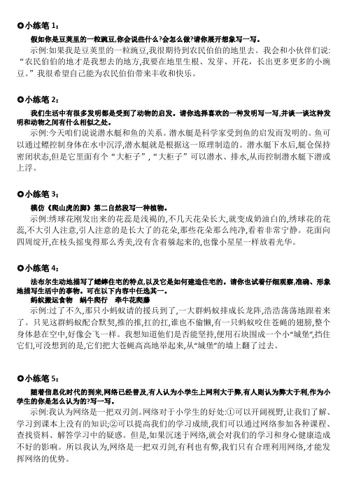 课后小练笔