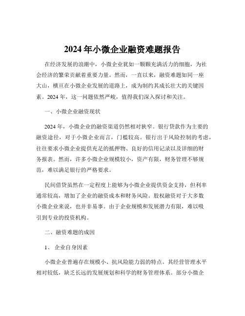 2024年小微企业融资难题报告