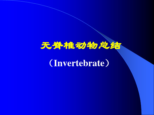 无脊椎动物
