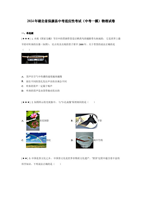 2024年湖北省保康县中考适应性考试(中考一模)物理试卷