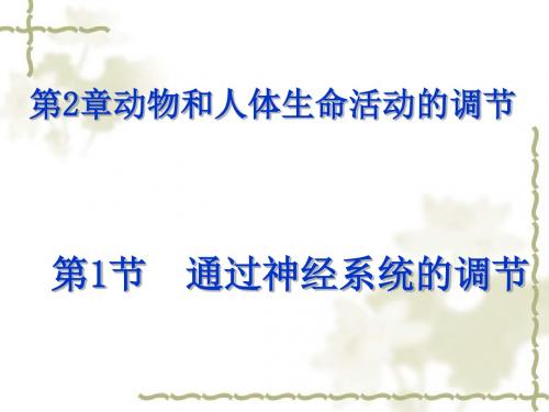 必修三第二章动物和人体生命活动的调节新授课全套课件