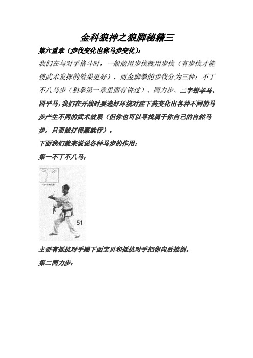 金科狼神之狼脚秘籍三