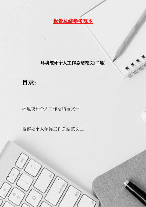 环境统计个人工作总结范文·二篇(2021)